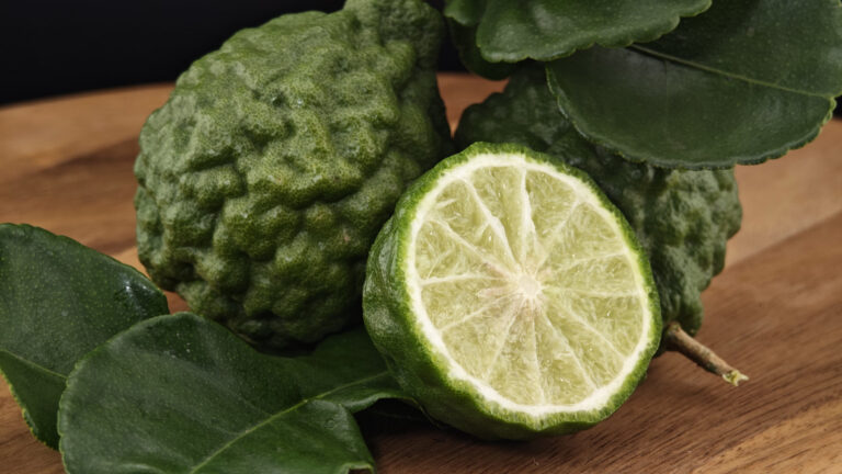 La Bergamote, matière première agrume en parfumerie